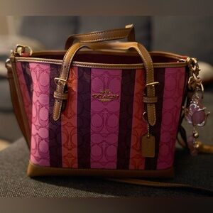 Coach Mollie Tote 25 in Signature Jacquard with Stripes (Model C4086